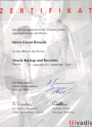 Oracle10g Backup Recovery