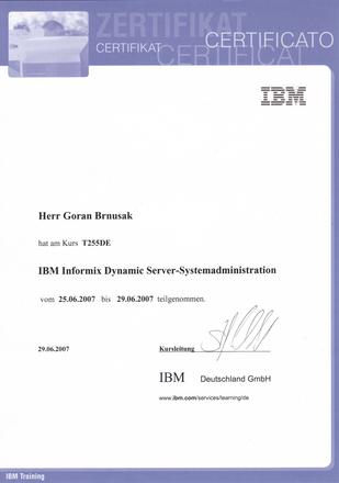Informix Dynamic Server