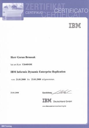 Informix Dynamic Server ER
